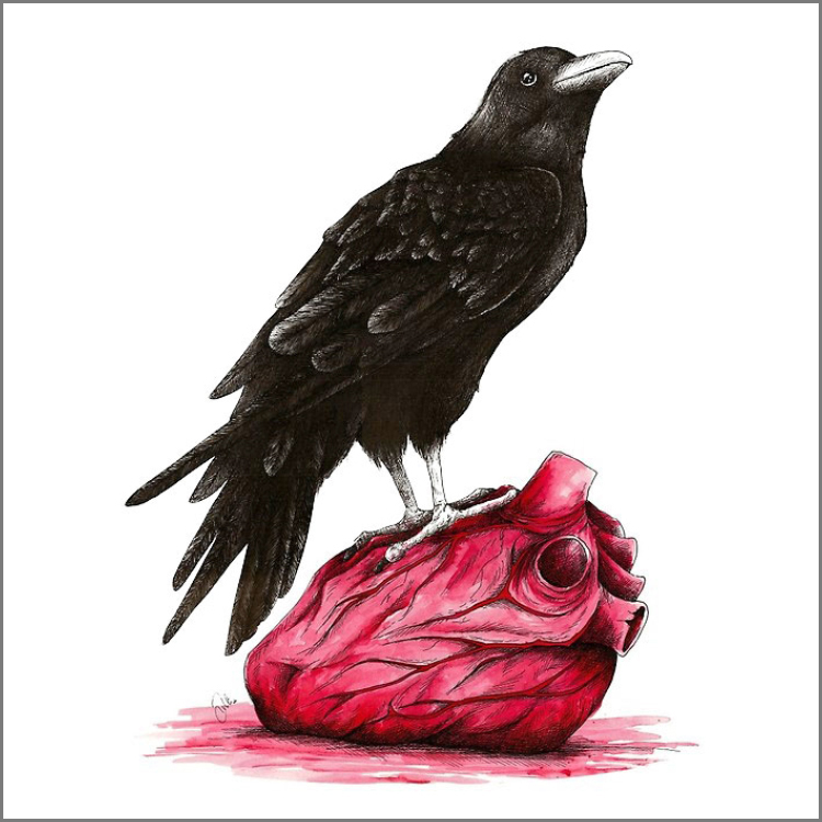 Line drawing of a black raven standing on an anatomically correct red heart, in a small pool of blood.