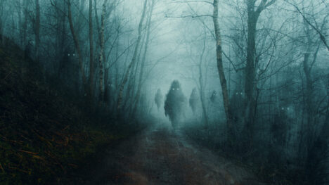 A horror concept of floating ghost monsters on a forest road, on a spooky, foggy winters evening. With a grunge, texture edit. Text at bottom reads "May you make many new friends this holiday season. Love, Nicola and Eights The Cat"