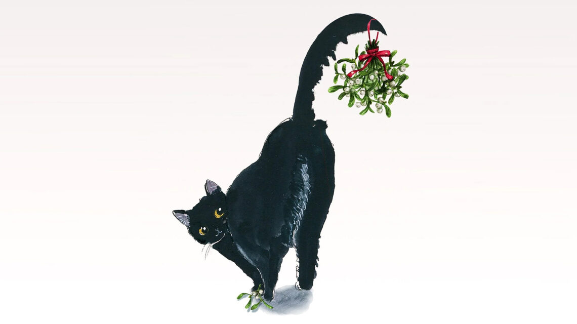 Illustration of a black cat with its body facing away from the viewer but its head turned back to look directly at the viewer. The cat has its rump in the air, with a sprig of mistletoe hanging from its tail. There's small black text in the lower left corner that says "You're Welcome."